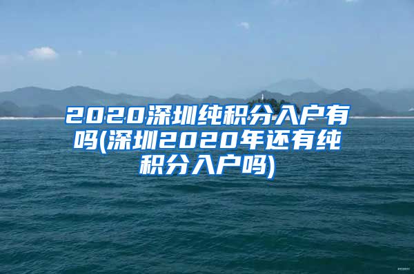 2020深圳纯积分入户有吗(深圳2020年还有纯积分入户吗)