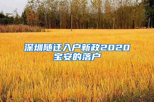 深圳随迁入户新政2020宝安的落户