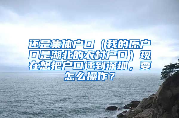 还是集体户口（我的原户口是湖北的农村户口）现在想把户口迁到深圳，要怎么操作？