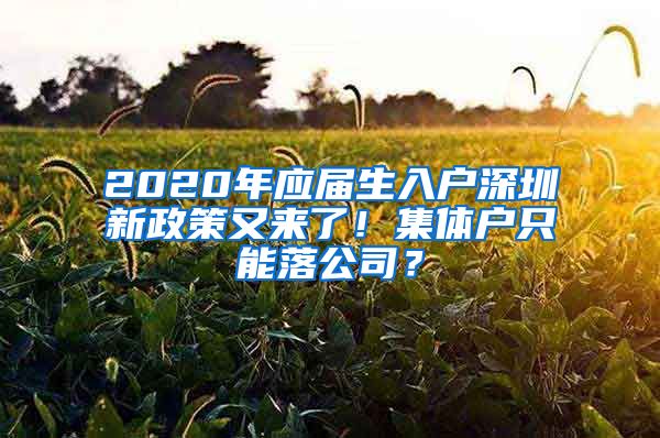 2020年应届生入户深圳新政策又来了！集体户只能落公司？