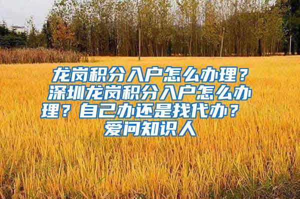 龙岗积分入户怎么办理？深圳龙岗积分入户怎么办理？自己办还是找代办？ 爱问知识人