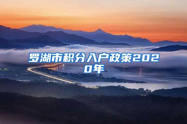 罗湖市积分入户政策2020年