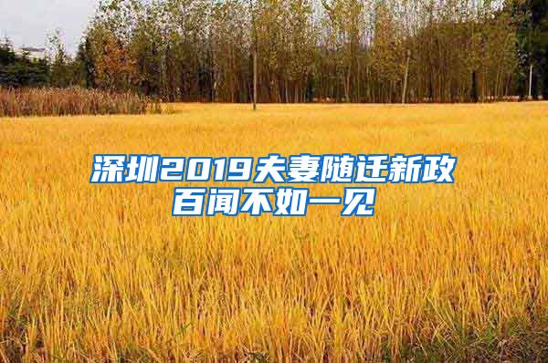 深圳2019夫妻随迁新政百闻不如一见