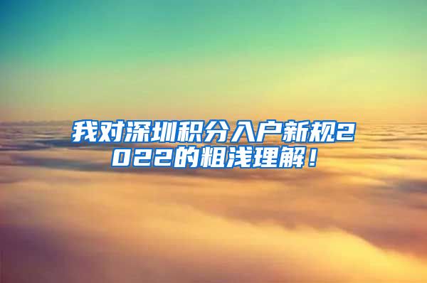 我对深圳积分入户新规2022的粗浅理解！