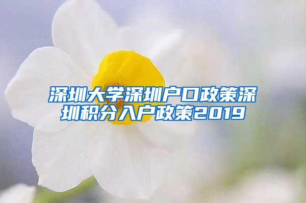 深圳大学深圳户口政策深圳积分入户政策2019