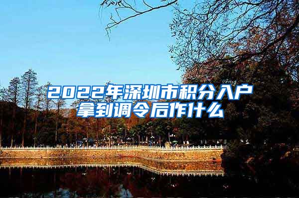 2022年深圳市积分入户拿到调令后作什么