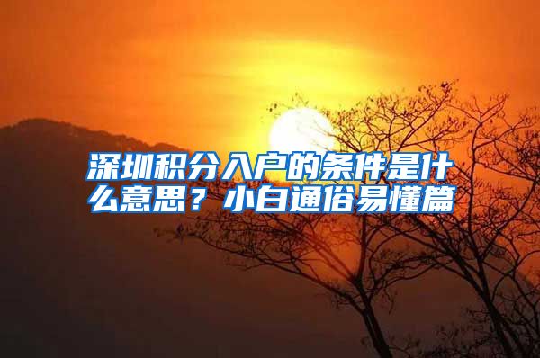 深圳积分入户的条件是什么意思？小白通俗易懂篇