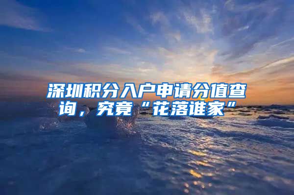 深圳积分入户申请分值查询，究竟“花落谁家”