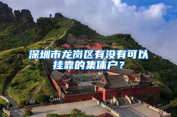 深圳市龙岗区有没有可以挂靠的集体户？