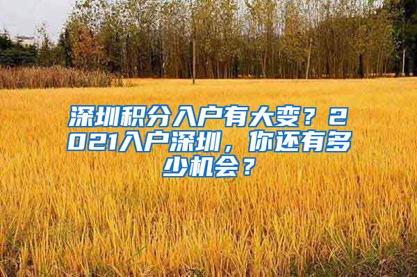 深圳积分入户有大变？2021入户深圳，你还有多少机会？