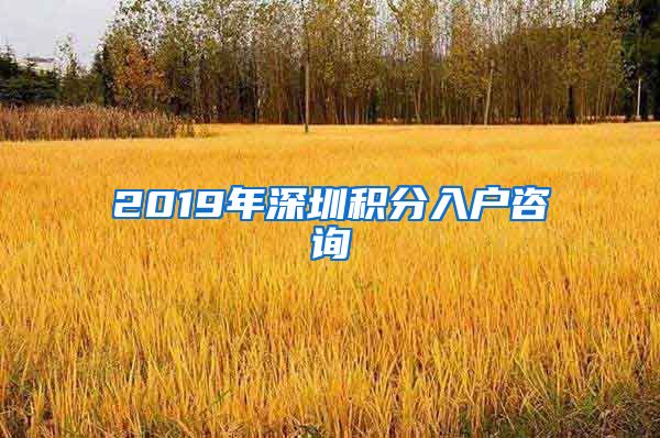 2019年深圳积分入户咨询