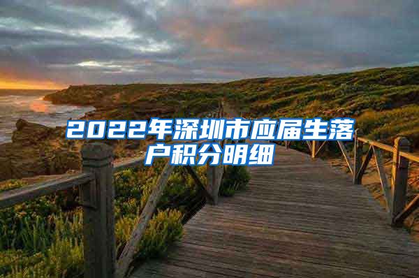 2022年深圳市应届生落户积分明细