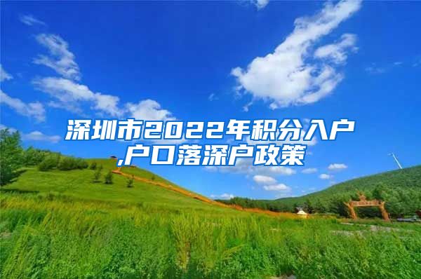 深圳市2022年积分入户,户口落深户政策