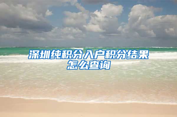 深圳纯积分入户积分结果怎么查询