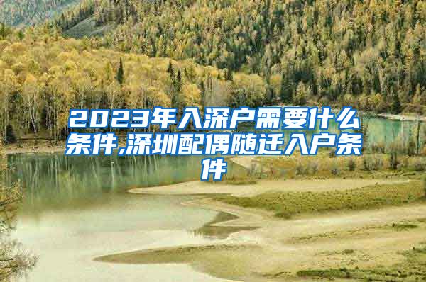 2023年入深户需要什么条件,深圳配偶随迁入户条件