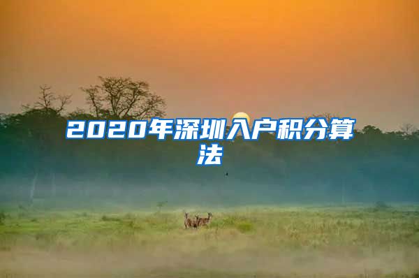 2020年深圳入户积分算法