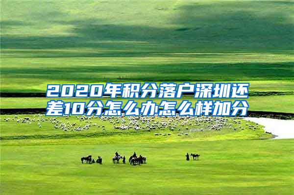 2020年积分落户深圳还差10分怎么办怎么样加分