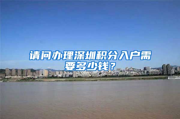 请问办理深圳积分入户需要多少钱？