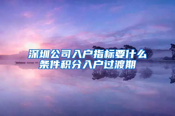 深圳公司入户指标要什么条件积分入户过渡期