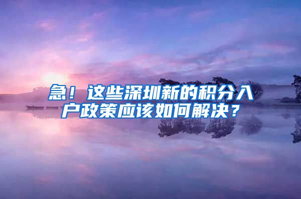 急！这些深圳新的积分入户政策应该如何解决？