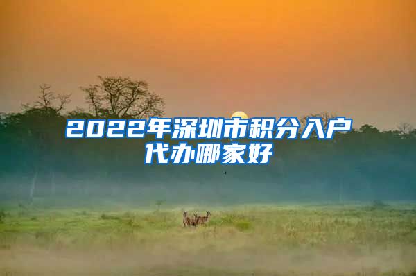 2022年深圳市积分入户代办哪家好