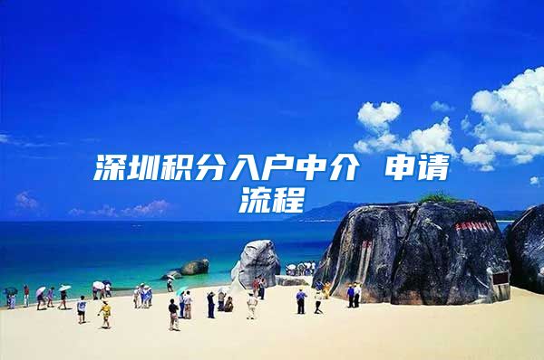 深圳积分入户中介 申请流程