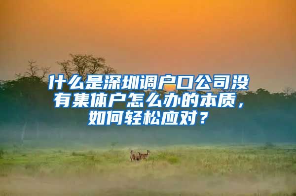 什么是深圳调户口公司没有集体户怎么办的本质，如何轻松应对？