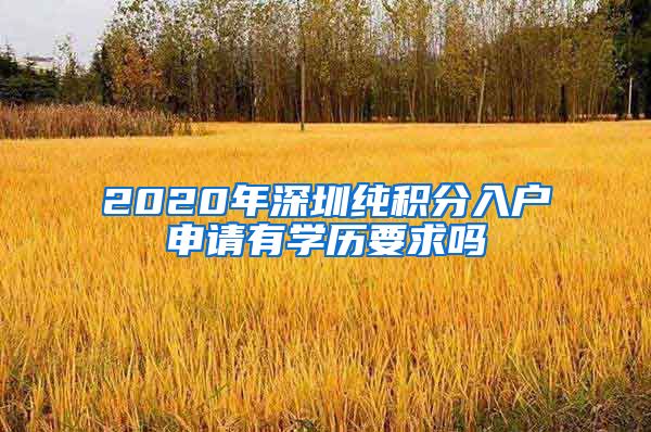 2020年深圳纯积分入户申请有学历要求吗