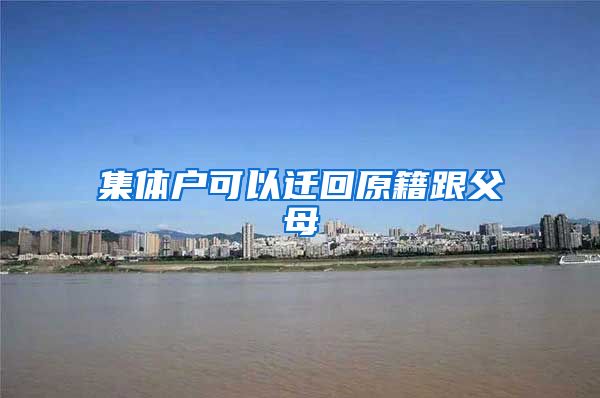 集体户可以迁回原籍跟父母