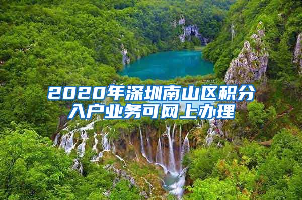 2020年深圳南山区积分入户业务可网上办理