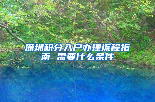 深圳积分入户办理流程指南 需要什么条件