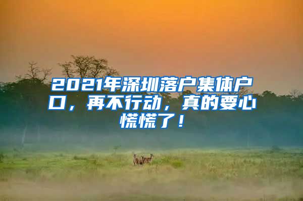 2021年深圳落户集体户口，再不行动，真的要心慌慌了！