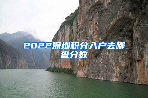 2022深圳积分入户去哪查分数