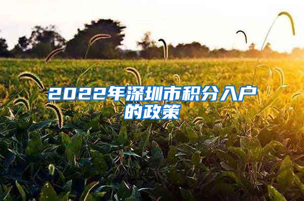 2022年深圳市积分入户的政策