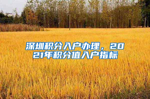 深圳积分入户办理，2021年积分值入户指标