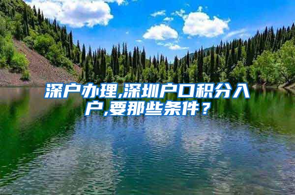 深户办理,深圳户口积分入户,要那些条件？