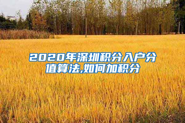 2020年深圳积分入户分值算法,如何加积分