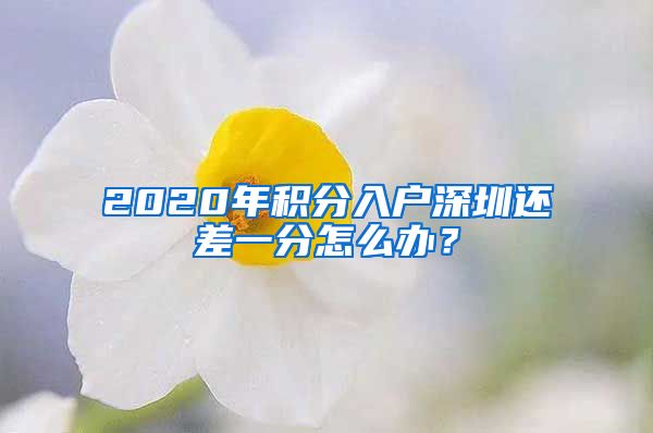 2020年积分入户深圳还差一分怎么办？