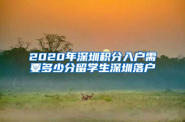 2020年深圳积分入户需要多少分留学生深圳落户