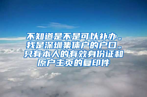 不知道是不是可以补办。我是深圳集体户的户口。只有本人的有效身份证和原户主页的复印件