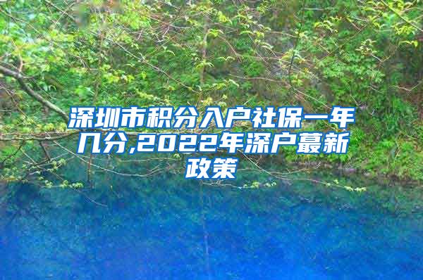 深圳市积分入户社保一年几分,2022年深户蕞新政策