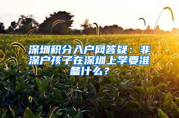 深圳积分入户网答疑：非深户孩子在深圳上学要准备什么？