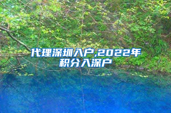 代理深圳入户,2022年积分入深户