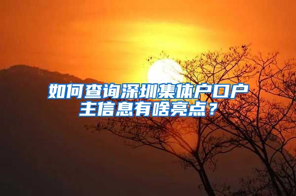 如何查询深圳集体户口户主信息有啥亮点？