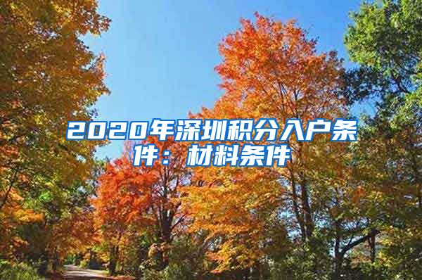 2020年深圳积分入户条件：材料条件