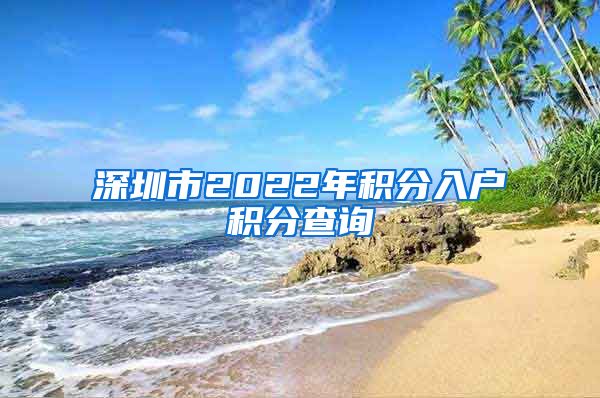 深圳市2022年积分入户积分查询