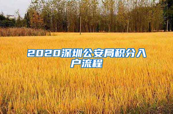 2020深圳公安局积分入户流程