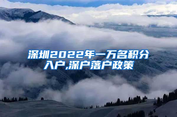 深圳2022年一万名积分入户,深户落户政策