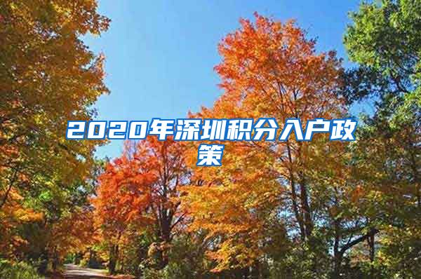 2020年深圳积分入户政策