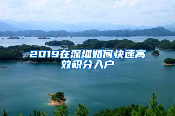 2019在深圳如何快速高效积分入户